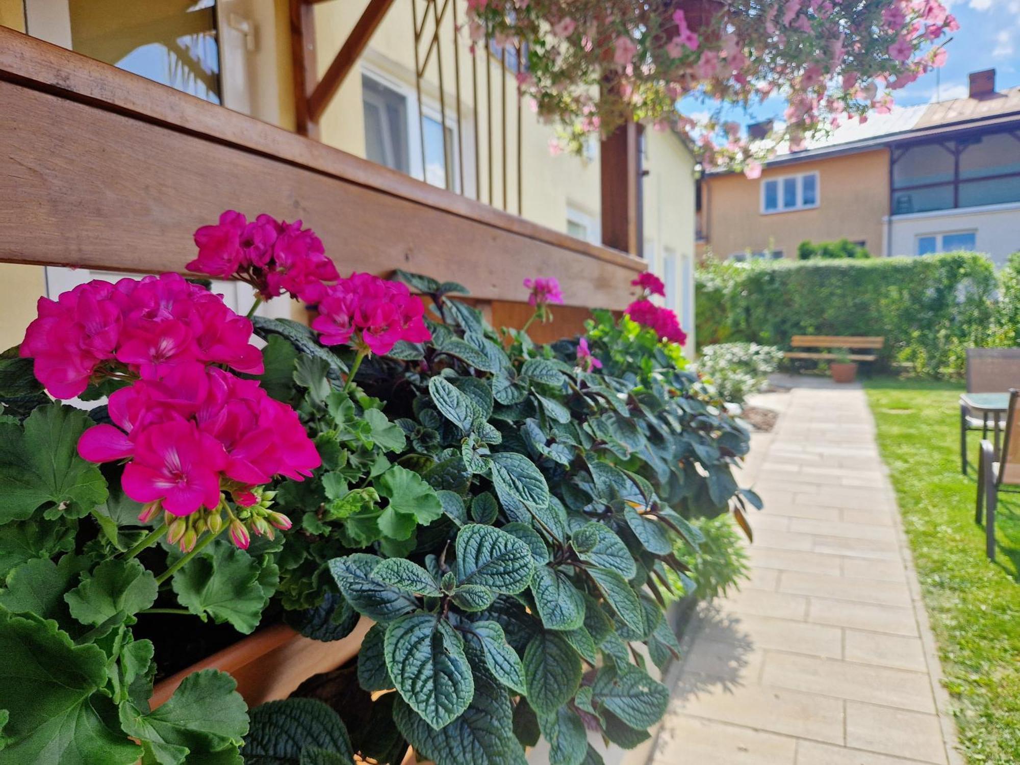 Apartament Cicho Sza Augustów Buitenkant foto